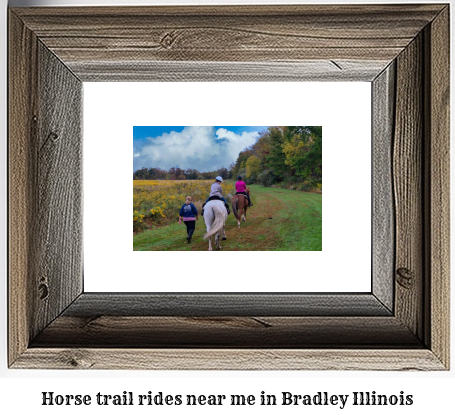 horse trail rides near me in Bradley, Illinois